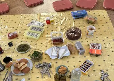 Food on blanket, and cushions